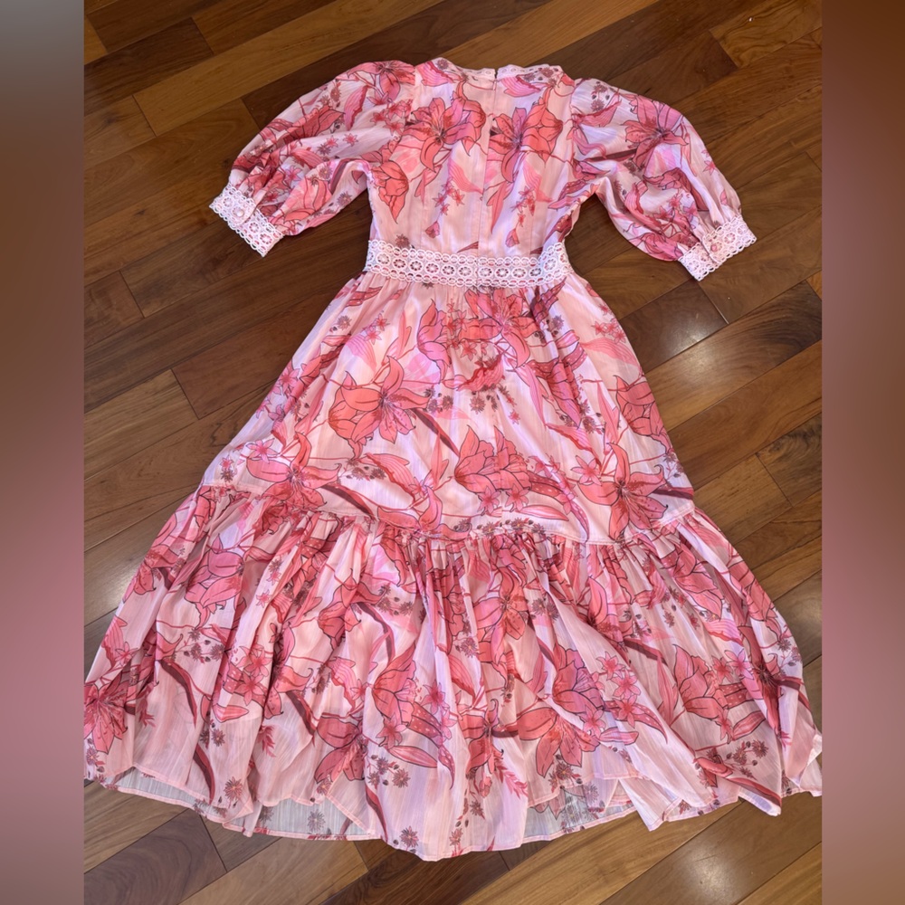 BURRYCO Soft Blush Dress - Picture 4 of 6